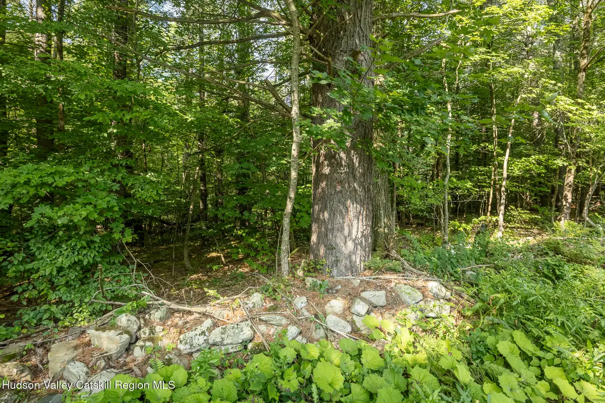 0 Old Gale Hill Road Road, East Chatham, NY 12060 - #1