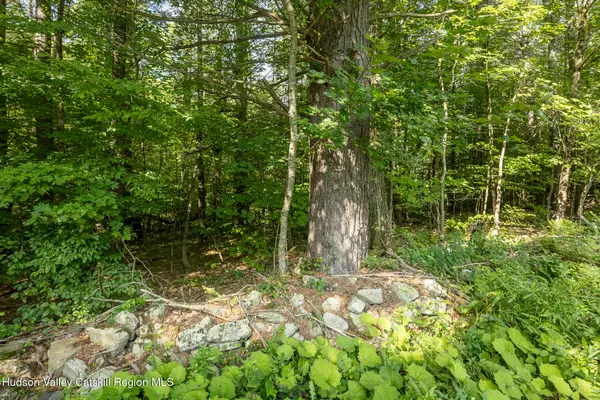 0 Old Gale Hill Road Road, East Chatham, NY 12060