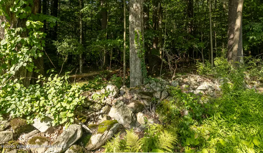 0 Old Gale Hill Road Road, East Chatham, NY 12060 - #3