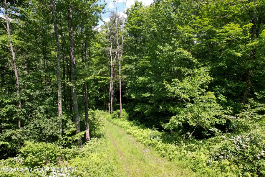 1604 Spruceton Road, West Kill, NY 12492 - #3