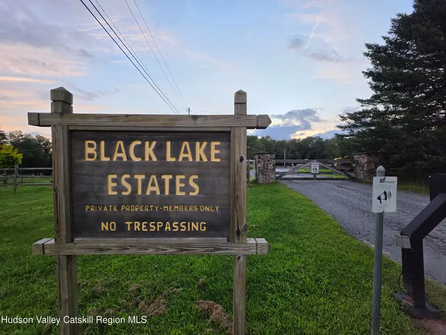 Lot 23 Deer Meadow Road, White Lake, NY 12786 - #2