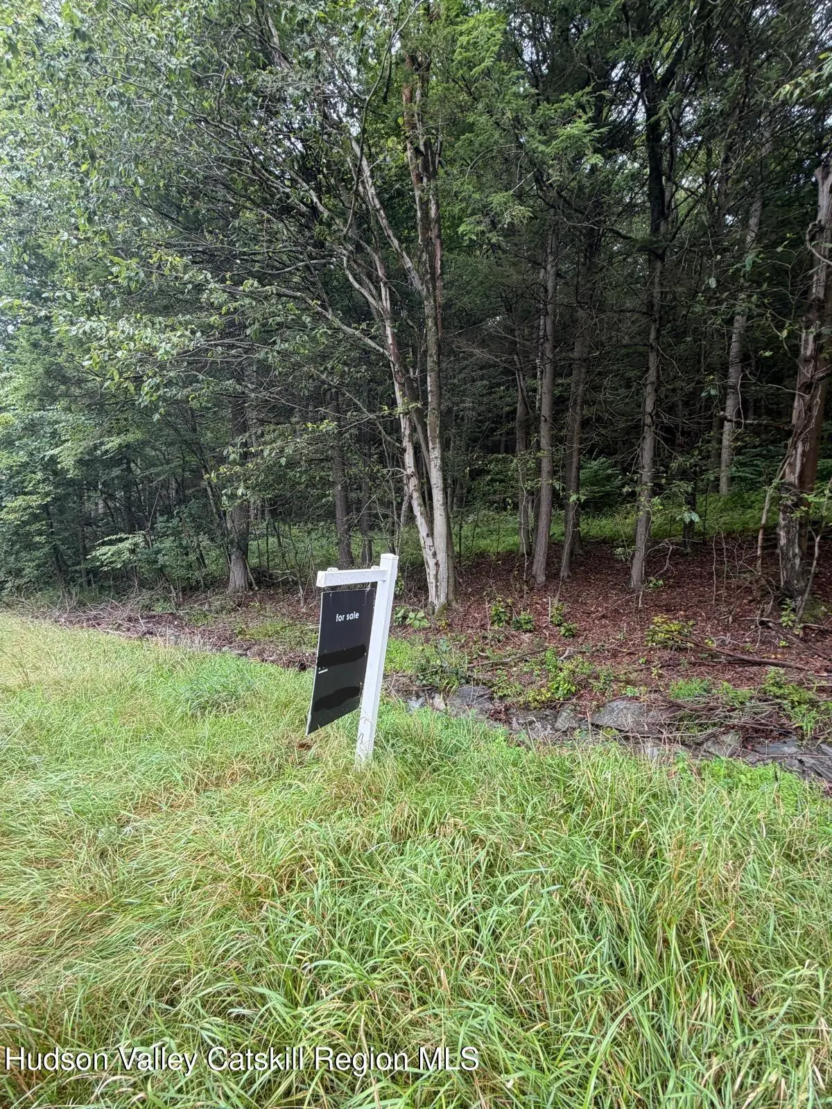 0 State Highway 97, Hancock, NY 13783 - #1