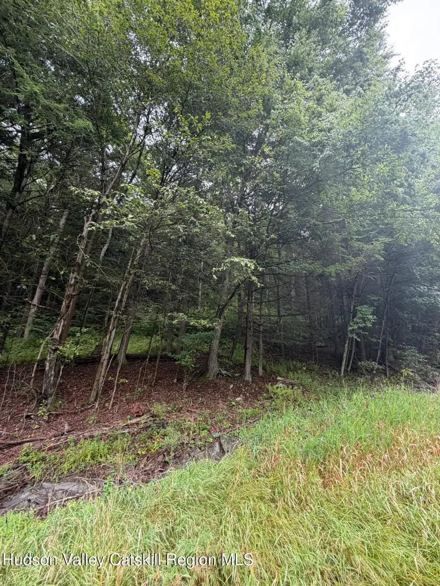 0 State Highway 97, Hancock, NY 13783 - #2