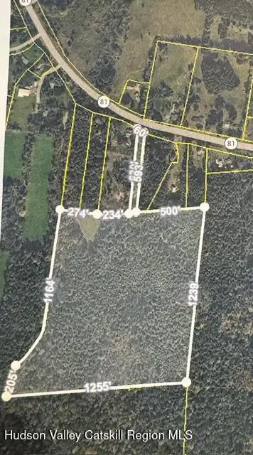L-16 New York 81, Greenville, NY 12083 - #2