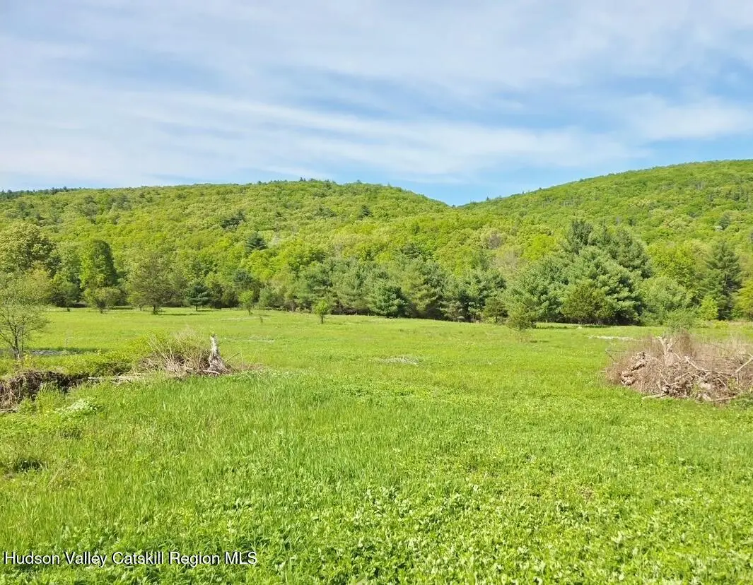 308 Ny-28, Kingston, NY 12401 - #1