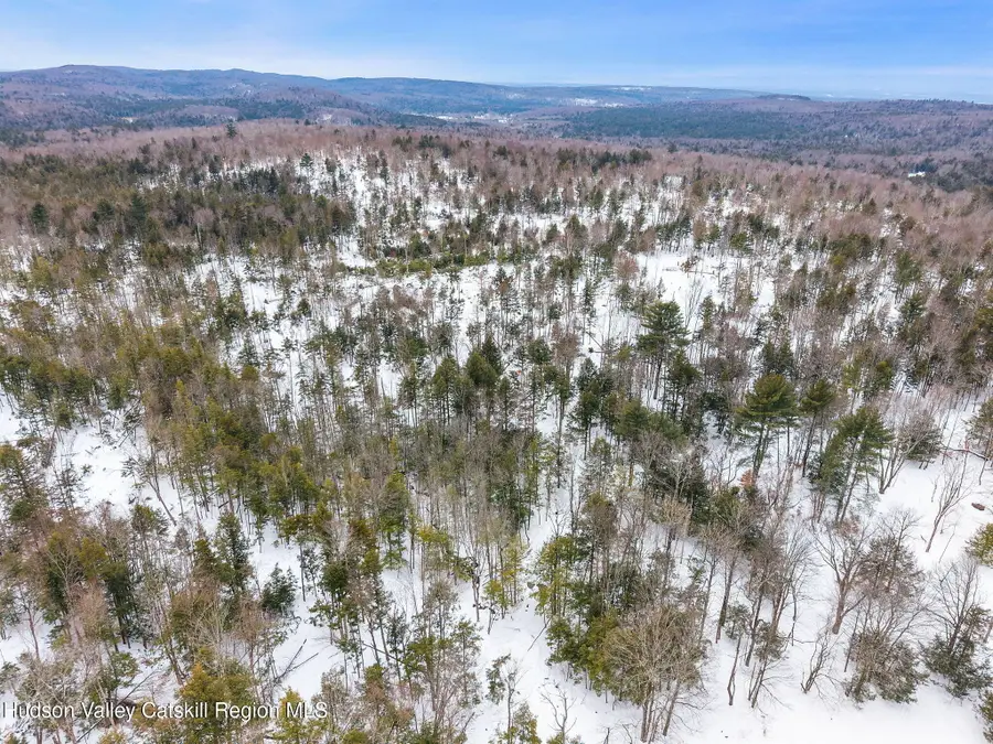 L25.1 Fifty Six Road, Petersburgh, NY 12138 - #2