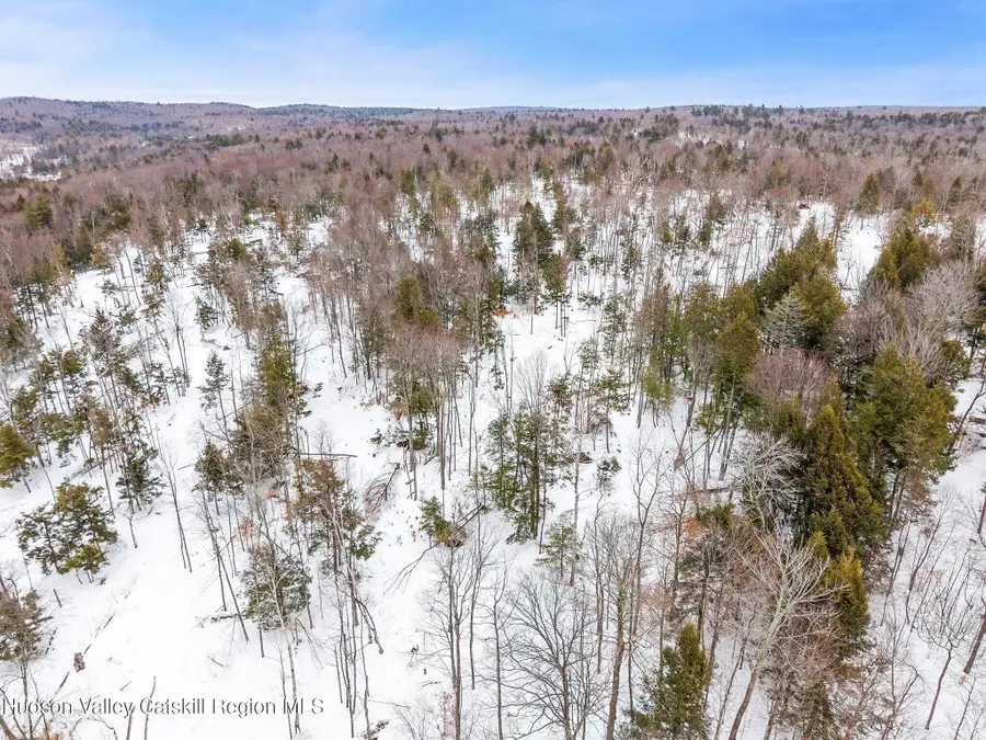 L25.1 Fifty Six Road, Petersburgh, NY 12138 - #3