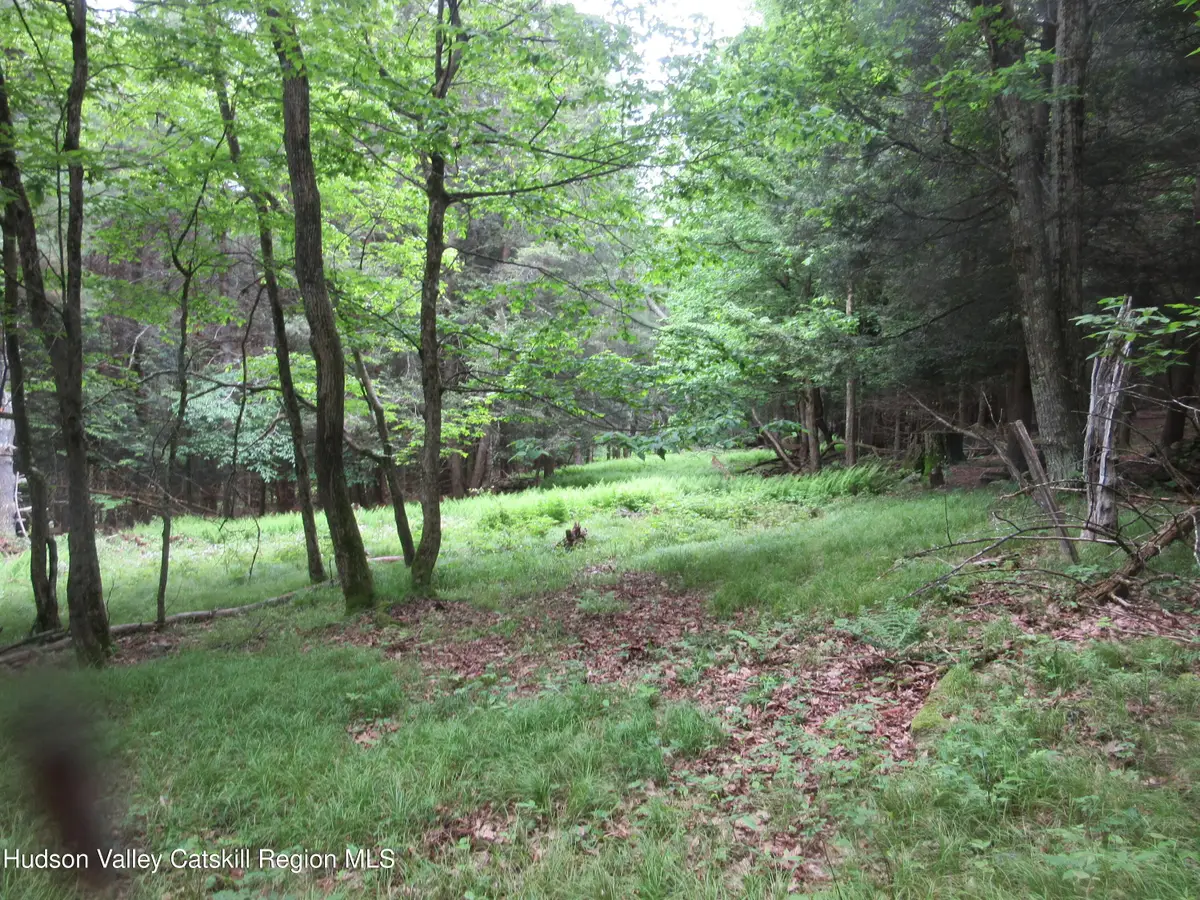 0 Airport Rd, Lot #4, Lexington, NY 12452 - #1