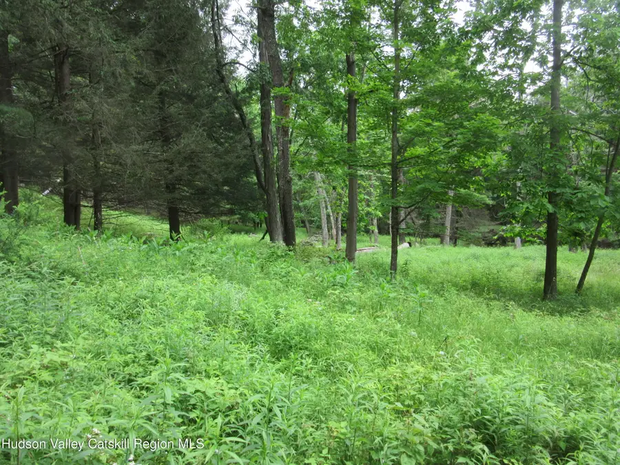 0 Airport Rd, Lot #4, Lexington, NY 12452 - #3