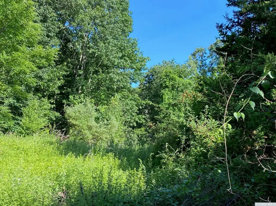 Lot #1 Jerry Lane, Wassaic, NY 12592 - #3