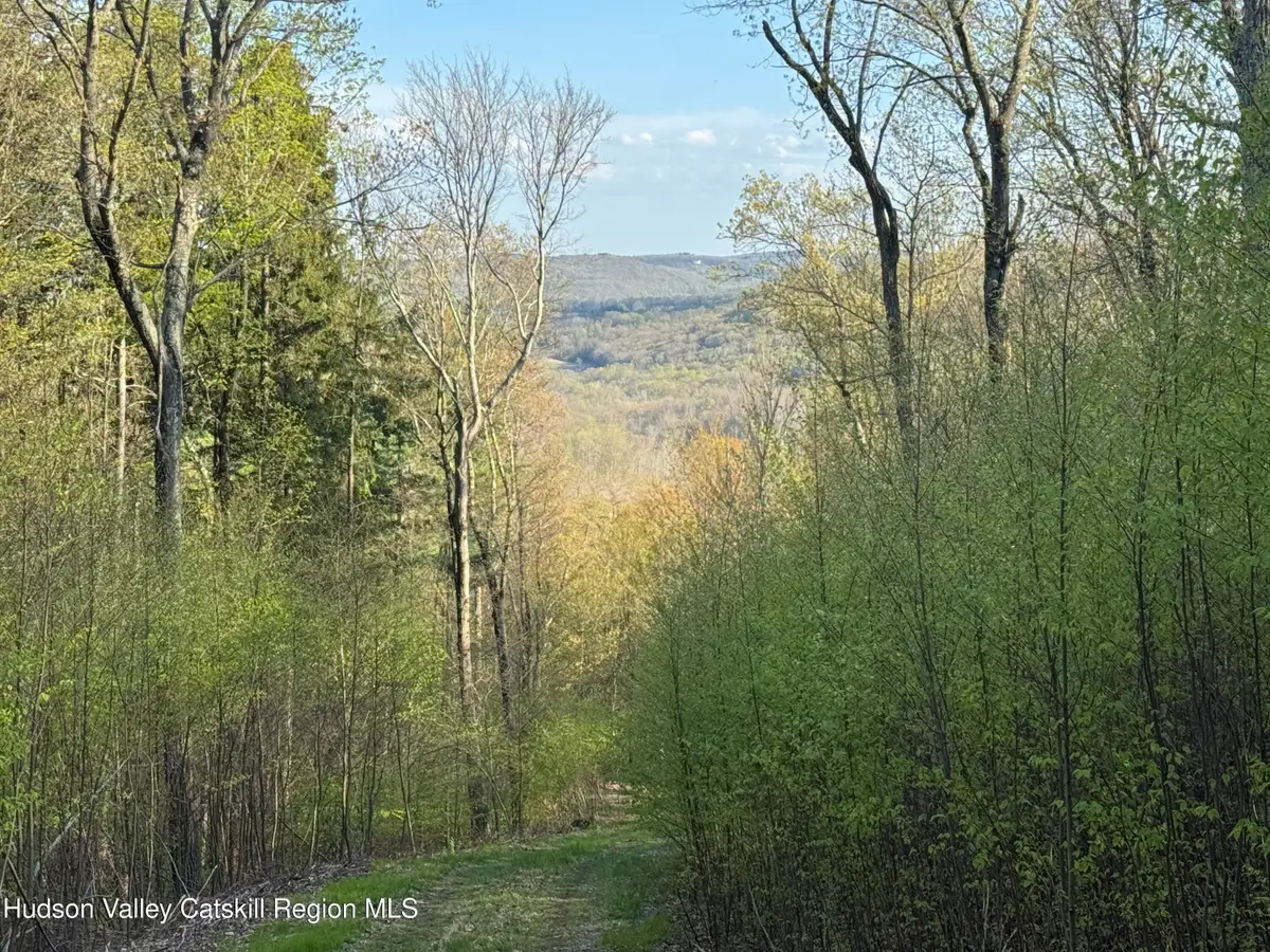 0 Route 82, Ancramdale, NY 12503 - #1