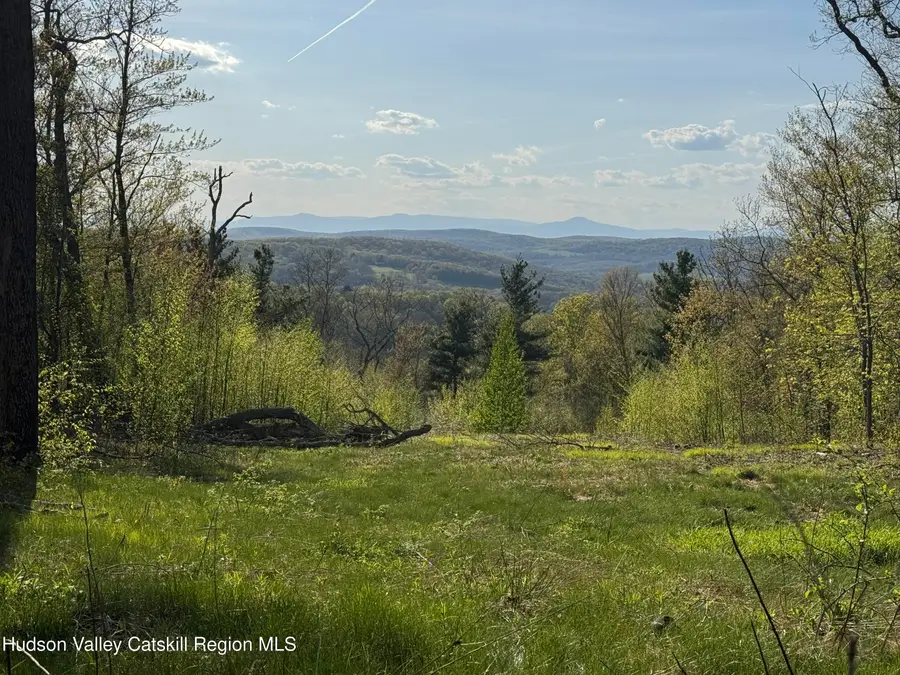 0 Route 82, Ancramdale, NY 12503 - #2