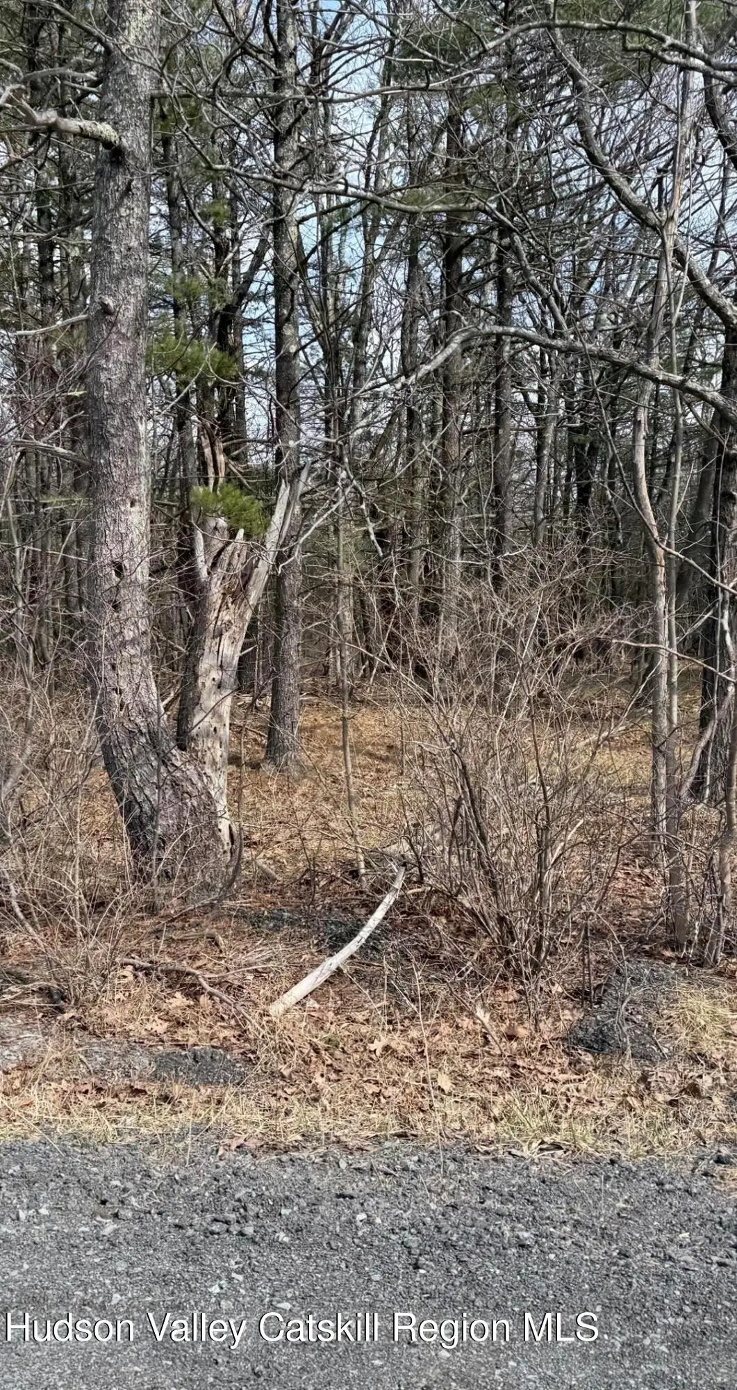 0 County Route 312, Coeymans, NY 12045 - #1