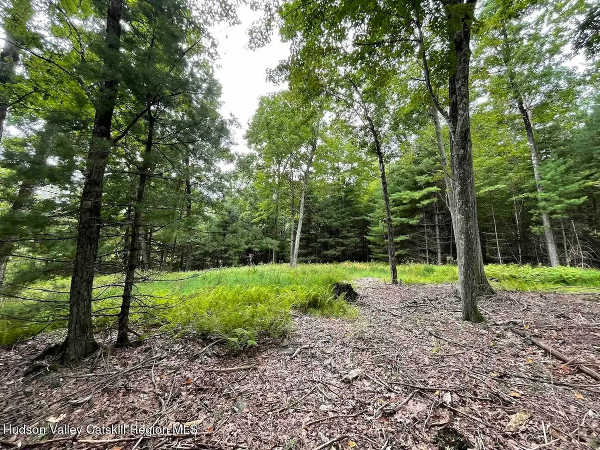 00 Oak Ridge Road, Ellenville, NY 12428 - #1