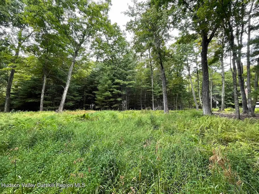 00 Oak Ridge Road, Ellenville, NY 12428 - #3