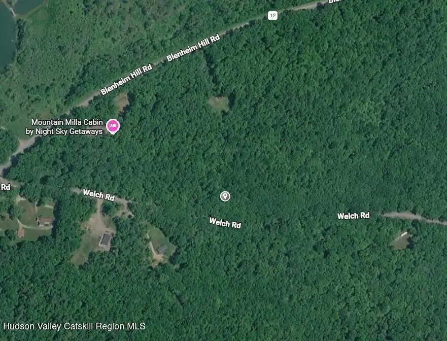 11 Welch Road, Jefferson, NY 12093 - #3