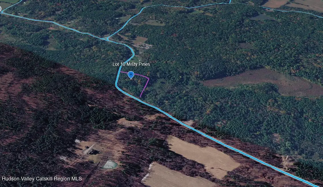 Lot 10 Co Rd 51, New Baltimore, NY 12124 - #1