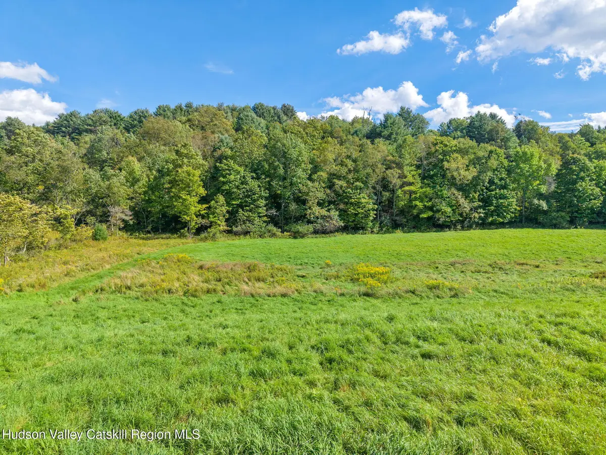 1034 Flat Creek Road, Gilboa, NY 12076 - #1