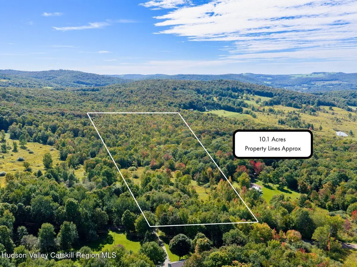 Lot 15 Turk Road, Kortright, NY 13739 - #1