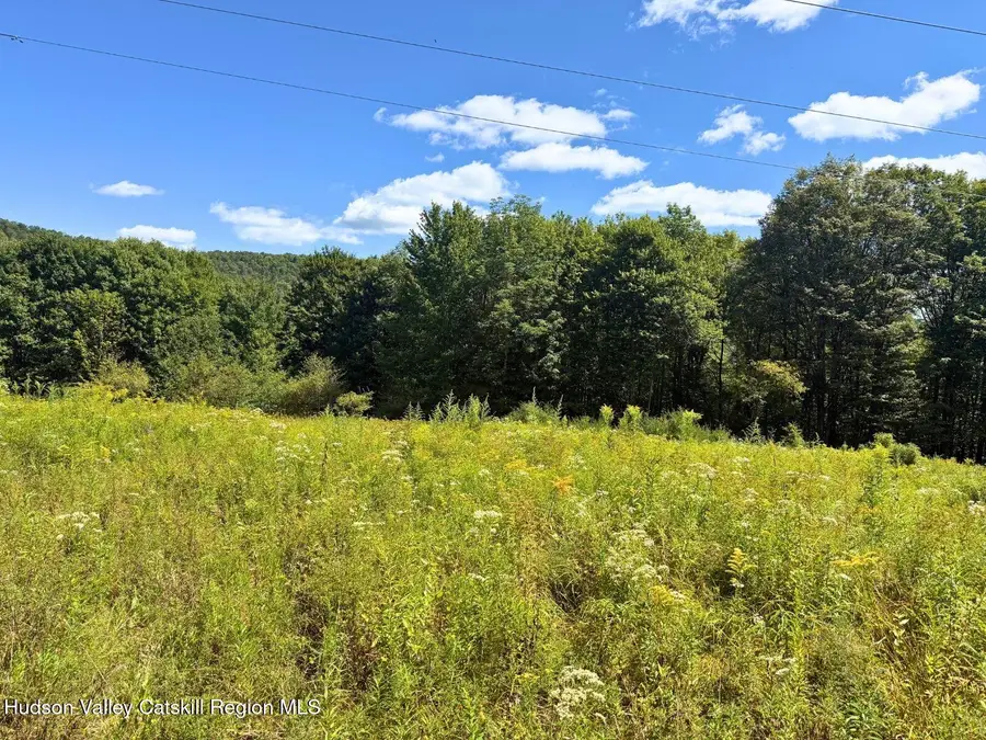 Lot 15 Turk Road, Kortright, NY 13739 - #3