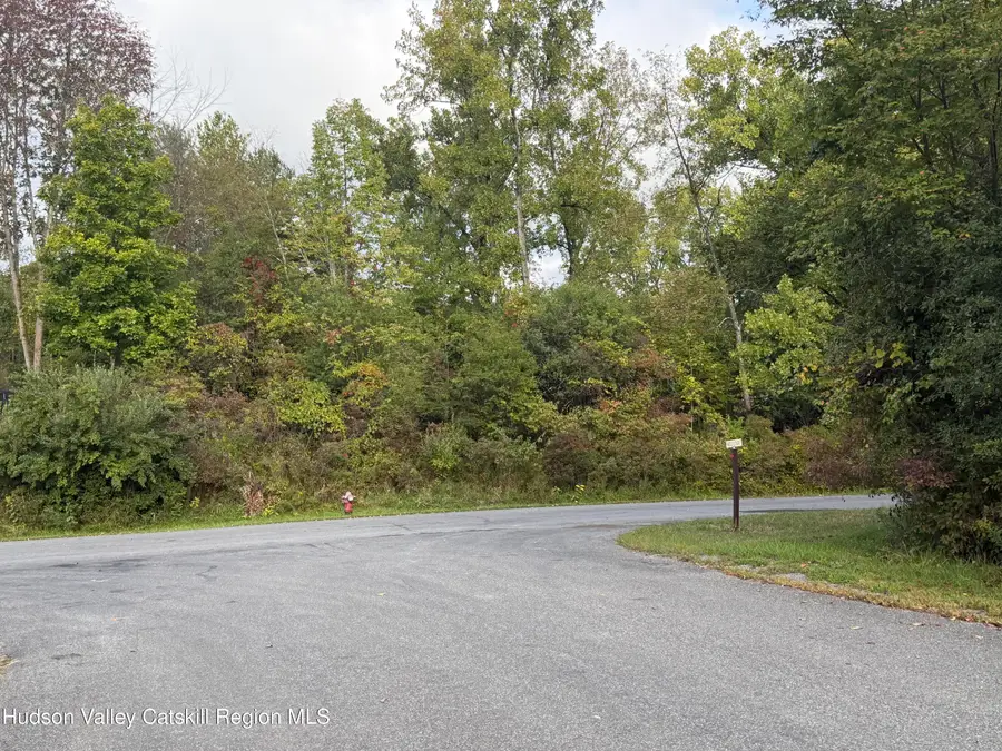 1248 Sleepy Hollow Road, Athens, NY 12015 - #3
