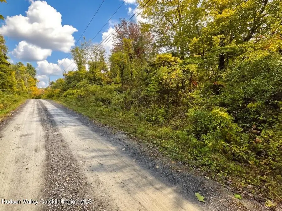 0 Spring Road, Livingston, NY 12534 - #3