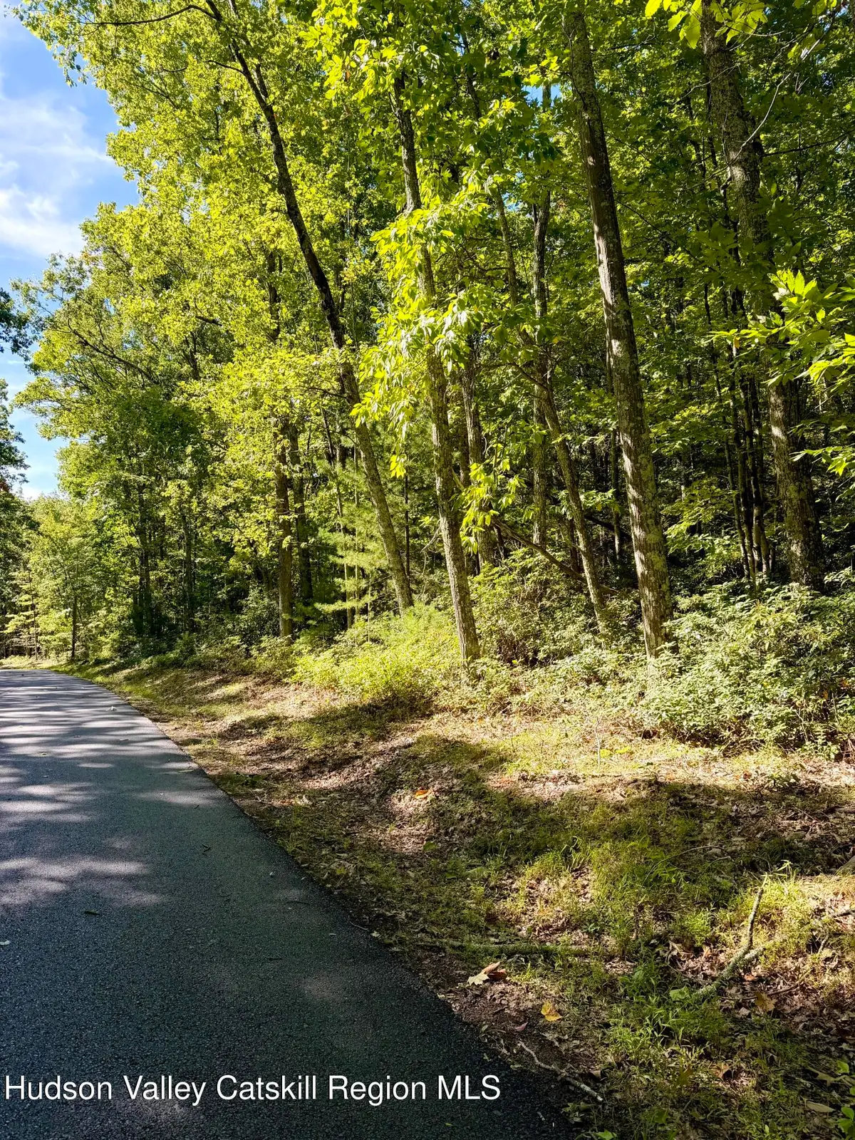 Lot 1 Bennett Road, Napanoch, NY 12458 - #1