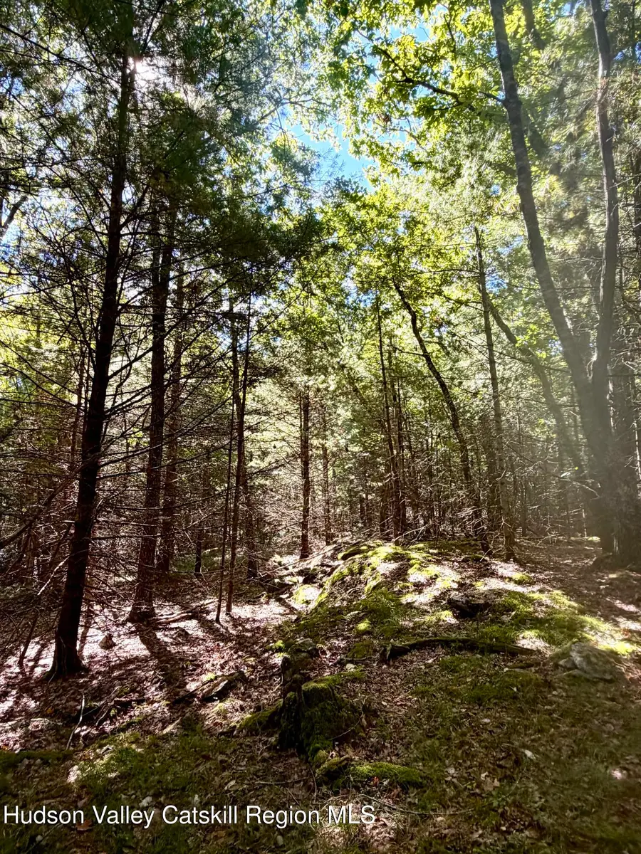 Lot 1 Bennett Road, Napanoch, NY 12458 - #2