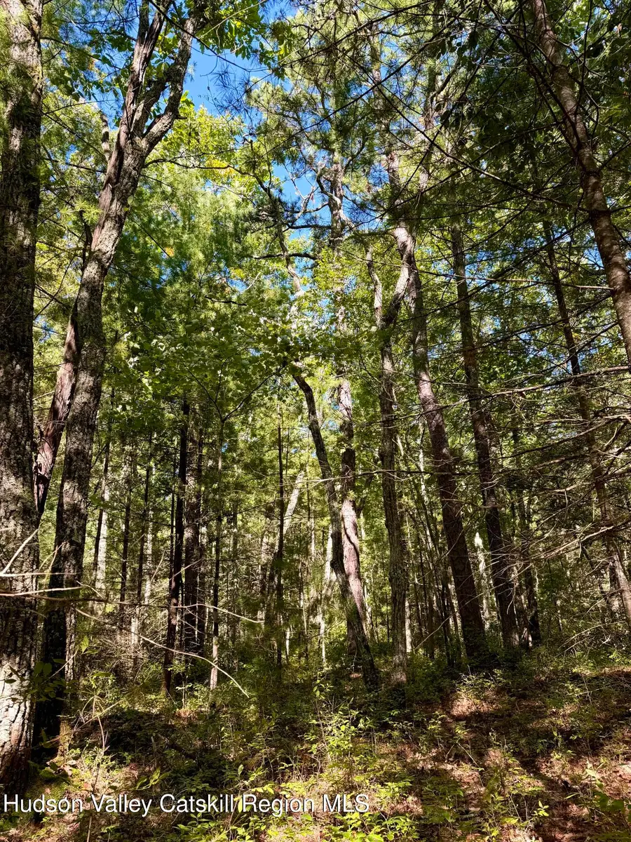 Lot 1 Bennett Road, Napanoch, NY 12458 - #3