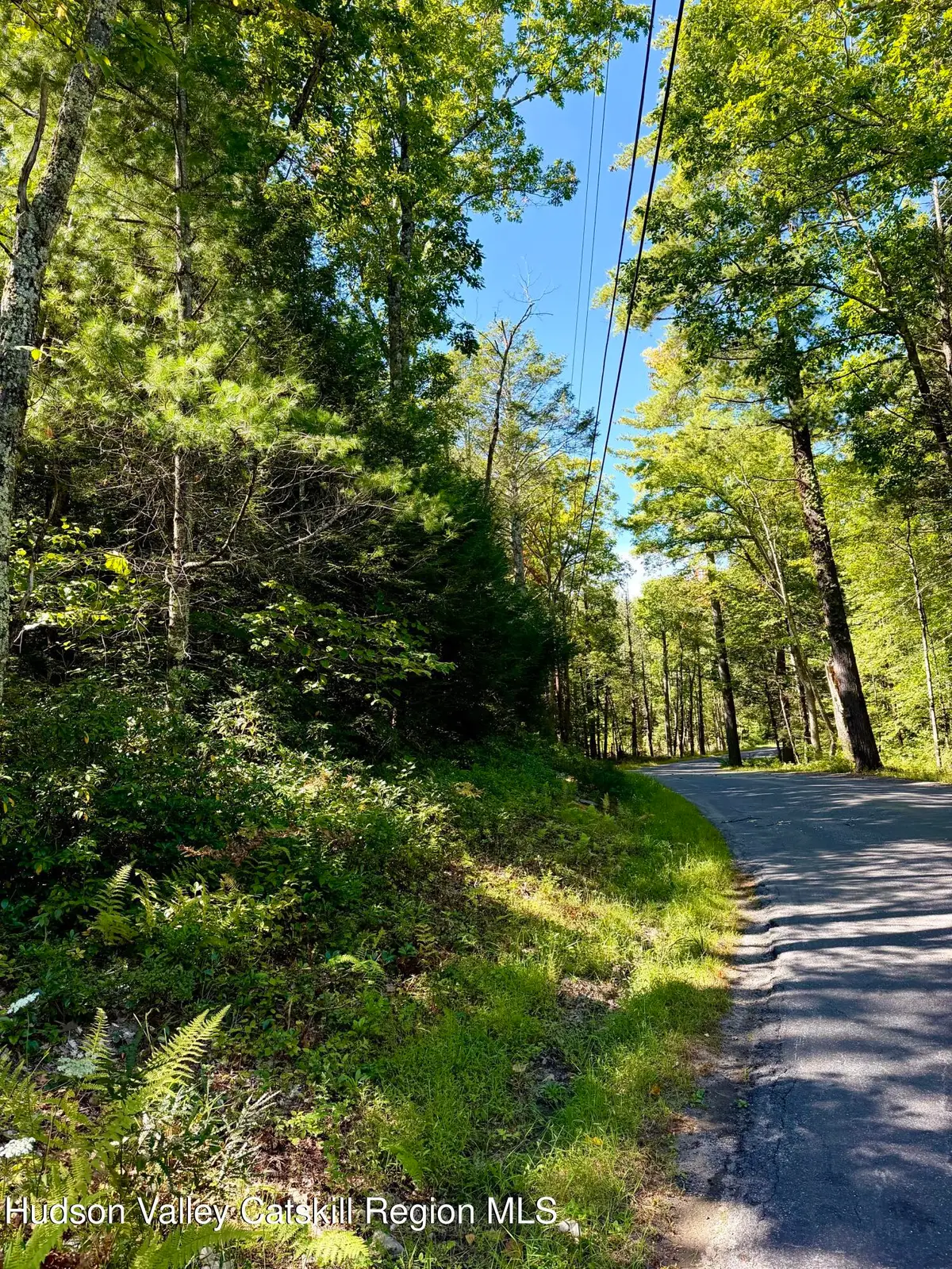 Lot 2 Bennett Road, Napanoch, NY 12458 - #1