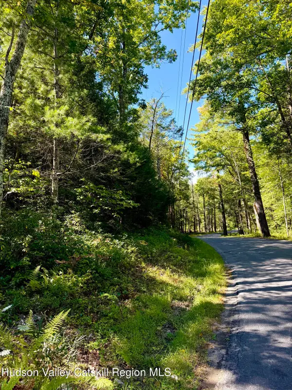 Lot 2 Bennett Road, Napanoch, NY 12458