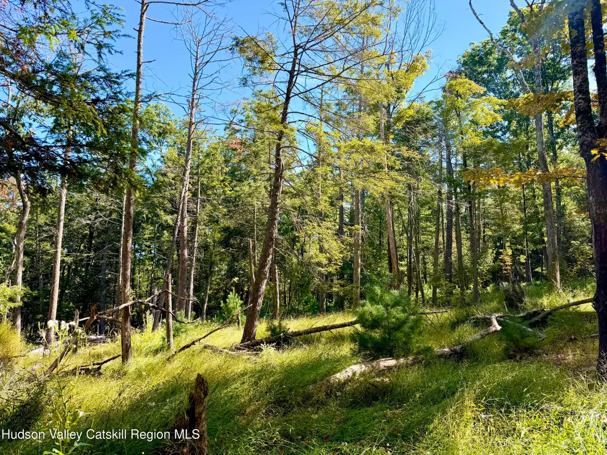 Lot 8 Brandy Brook Road, Napanoch, NY 12458 - #1