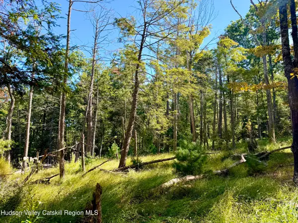 Lot 8 Brandy Brook Road, Napanoch, NY 12458