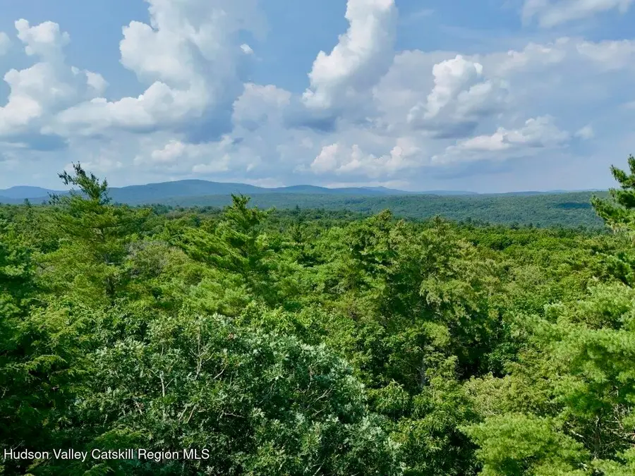 Lot 8 Brandy Brook Road, Napanoch, NY 12458 - #2