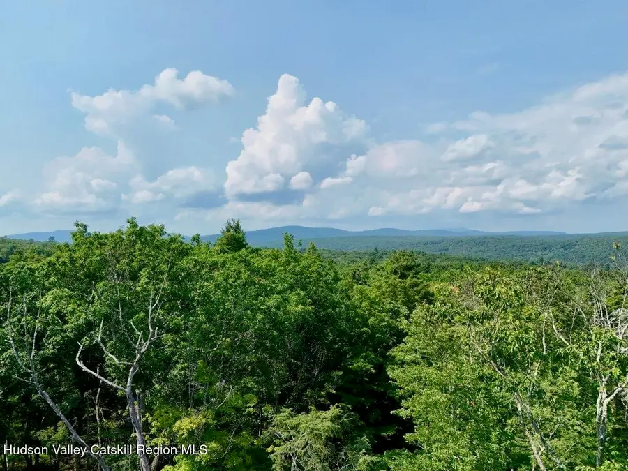 Lot 8 Brandy Brook Road, Napanoch, NY 12458 - #3
