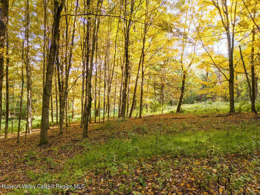 0 County Route 7, Copake, NY 12516 - #2