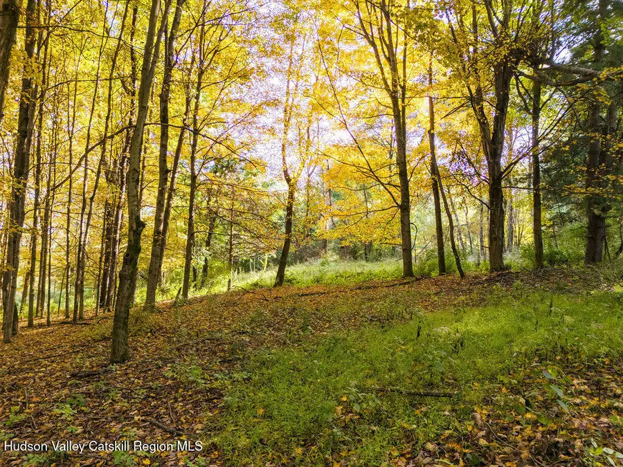 0 County Route 7, Copake, NY 12516 - #3