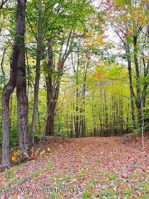 Tbd Alpine Drive, Bovina, NY 13740 - #1