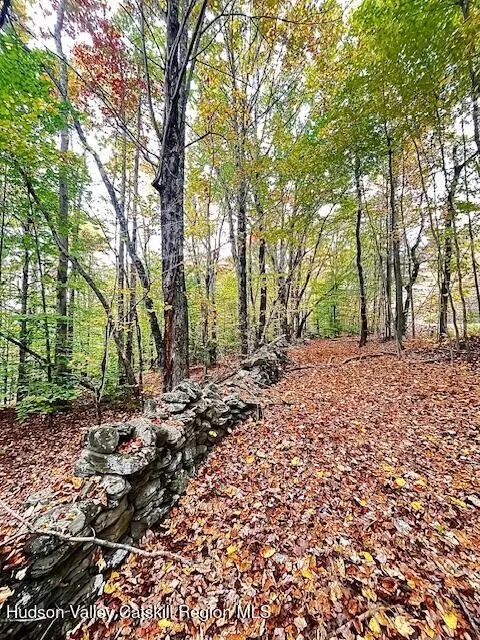 Tbd Alpine Drive, Bovina, NY 13740 - #3