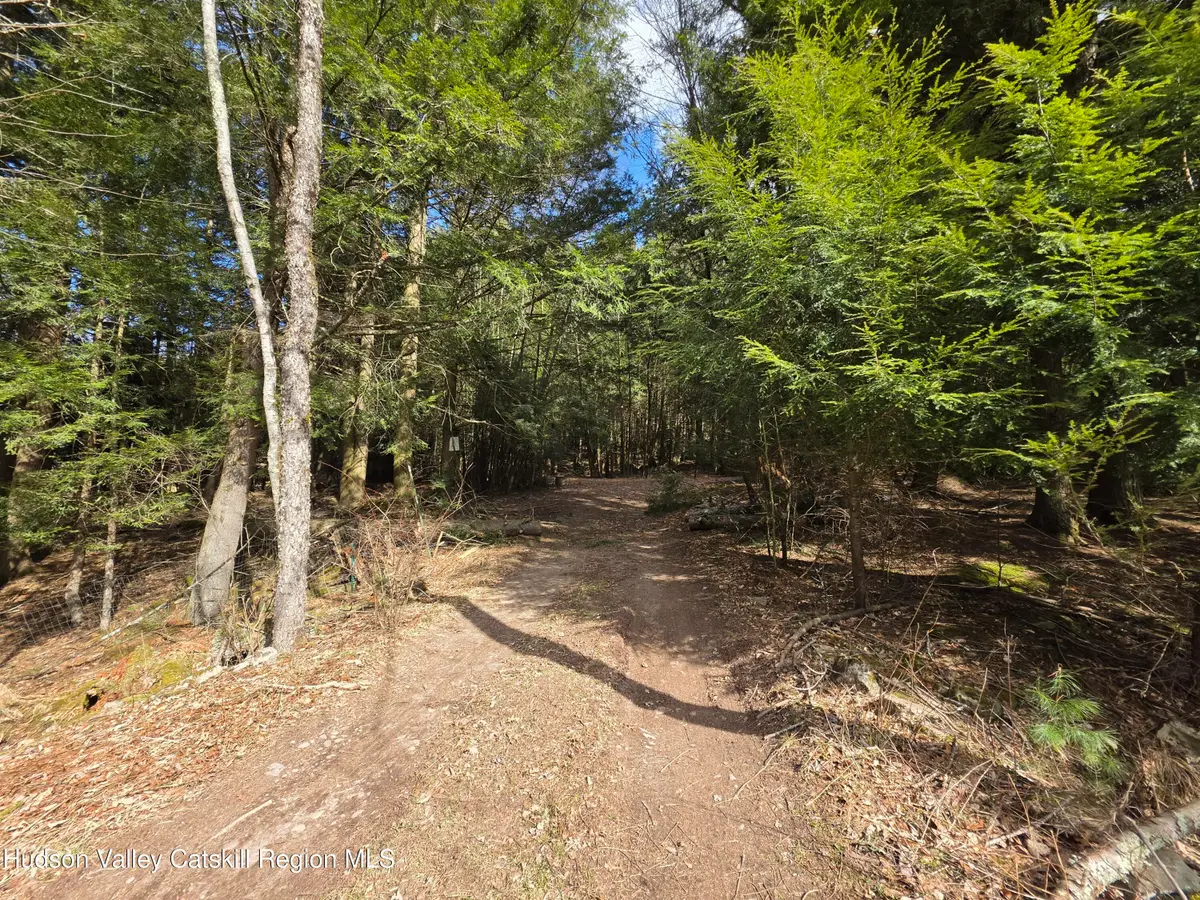 Tbd Eagle Avenue, Mongaup Valley, NY 12762 - #1
