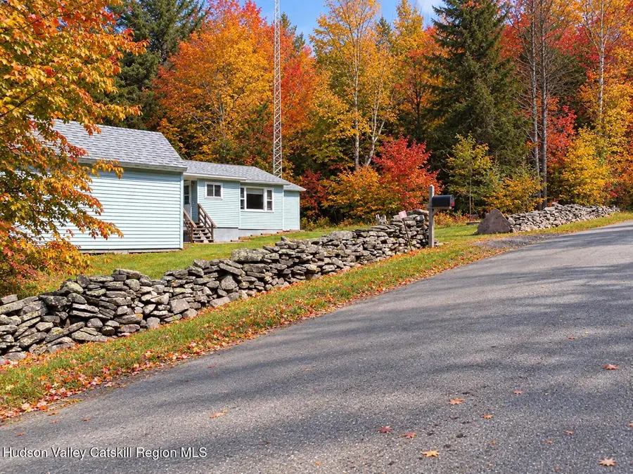 189 Peck Road, Windham, NY 12496 - #3