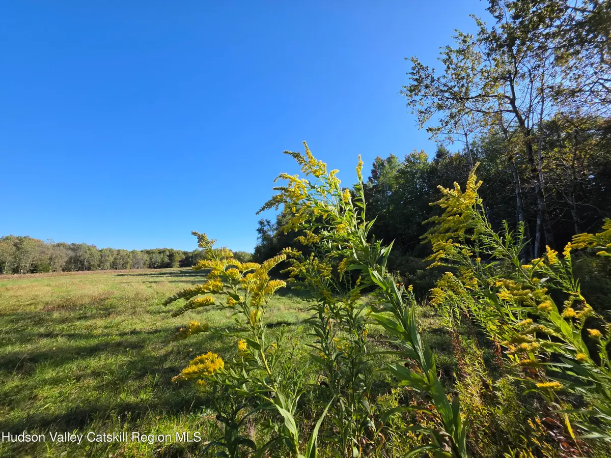 Tbd Anderson Road, Parksville, NY 12768 - #1