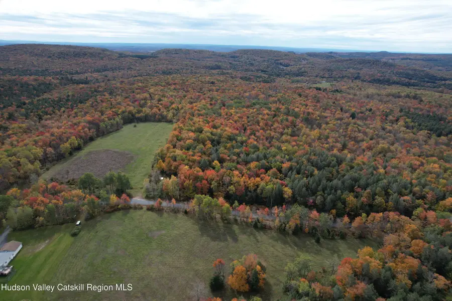 Tbd Anderson Road, Parksville, NY 12768 - #2