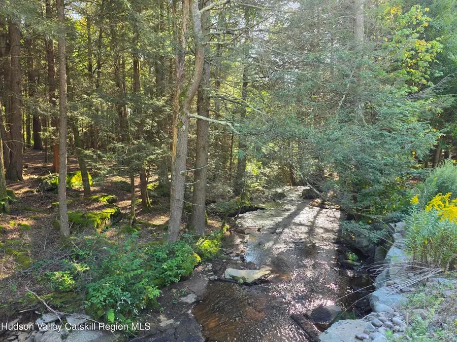 Tbd Anderson Road, Parksville, NY 12768 - #3