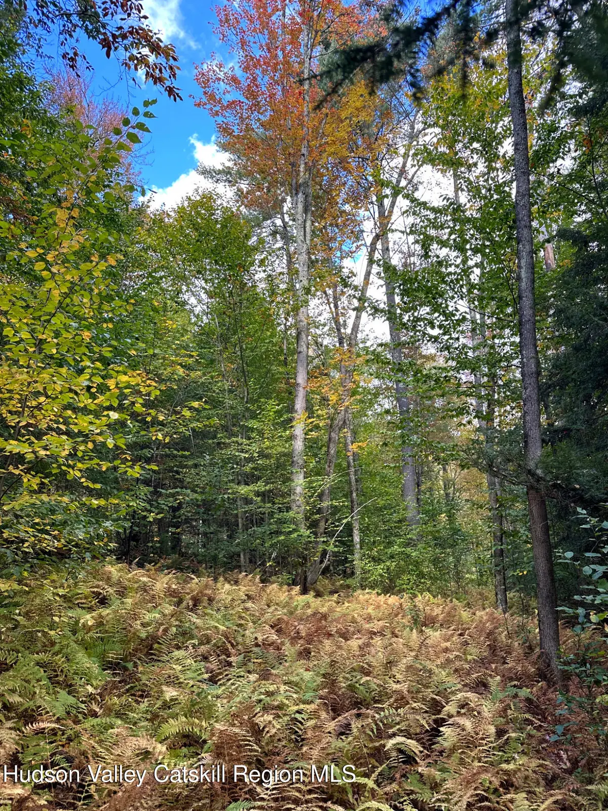 0 Moore Hill Lot 1 Road, Stephentown, NY 12169 - #1