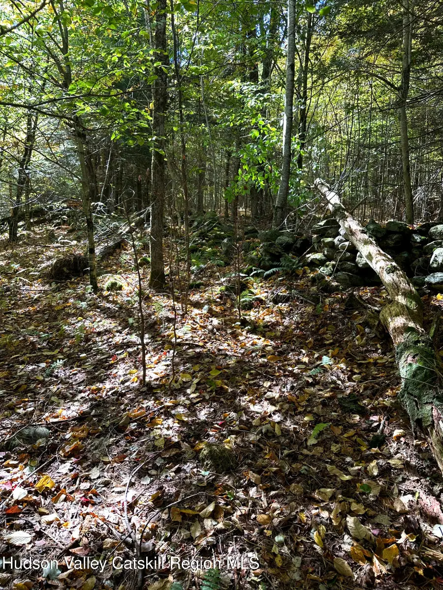 0 Moore Hill Lot 1 Road, Stephentown, NY 12169 - #3