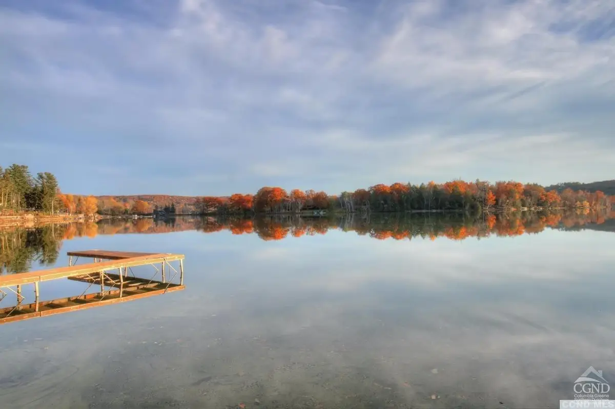 8 Birch Hill Road, Copake Lake, NY 12521 - #1
