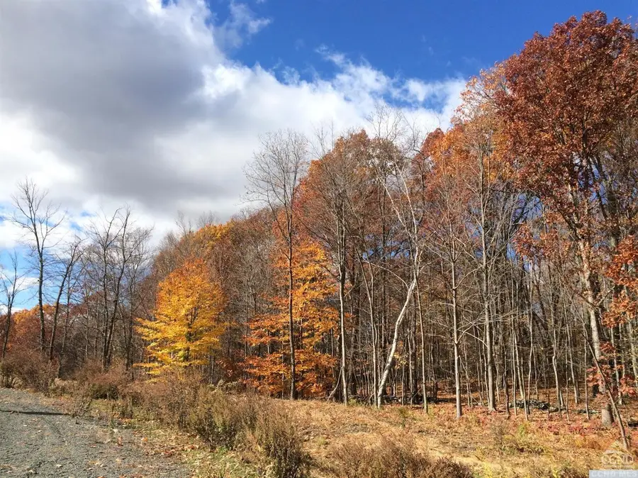 9 Birch Hill Road, Copake Lake, NY 12521 - #2