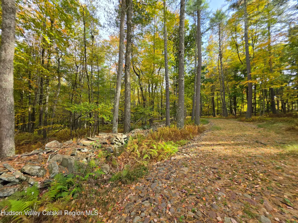 Lot 36 Evergreen Lane, Narrowsburg, NY 12764 - #1