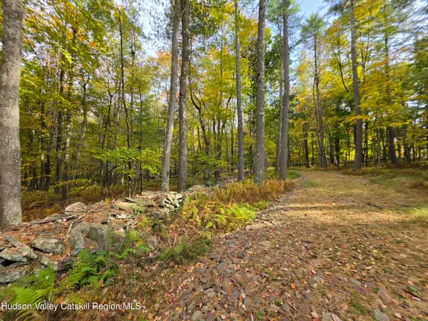 Lot 36 Evergreen Lane, Narrowsburg, NY 12764